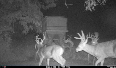 26845 County Road R52, Leon, IA 50144 - photo 4