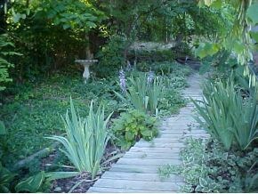 1411 Valley View Dr, Johnson City, TN 37601 - photo 6