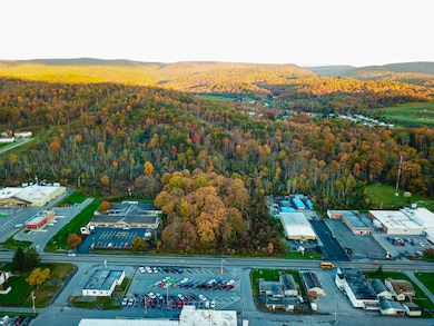 0 E Pleasant Valley Blvd unit LotWP001 19615403, Tyrone, PA 16686 - photo 3