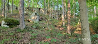 34316 Beech Grove Rd, Rutland, OH 45775 - photo 2