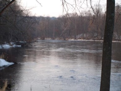 12917 Vergennes St, Lowell, MI 49331 - photo 6