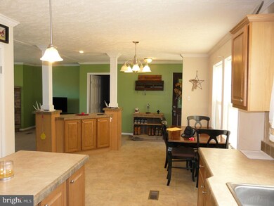 163 Lower Forge Rd, New Market, VA 22844 - photo 6