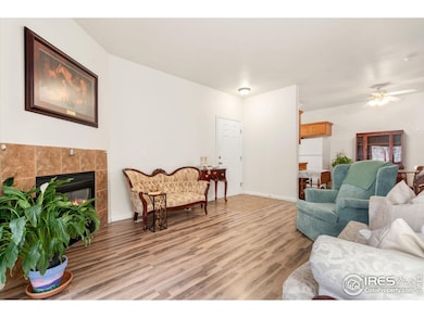 1343 Lake Cir unit B, Windsor, CO 80550 - photo 5