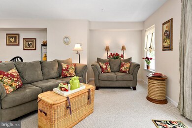 535 Yacht Club Dr unit 3, Berlin, MD 21811 - photo 6