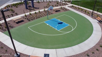 AZH_Belrose_Pic_Amenities_Basketball (2)