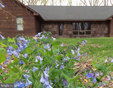 1173 Steamboat Run Rd, Shepherdstown, WV 25443 - photo 2