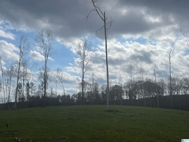 0004 Truman Aldrich Pkwy, West Blocton, AL 35184 - photo 3