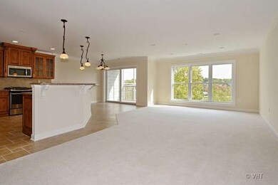 206 N Water St unit 201, Batavia, IL 60510 - photo 3