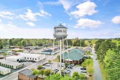 504 Cane Branch Rd unit Lot 5- Live Oak, Loris, SC 29569 - photo 6