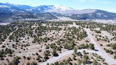 4402 Bear Creek Cir, South Fork, CO 81154 - photo 3