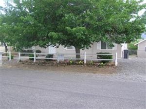 Shaded Front Yard