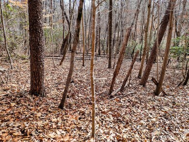 Lot 97 Melrose Ct unit 97, Lake Lure, NC 28746 - photo 6