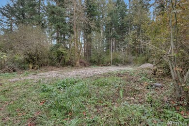 18343 Shenandoah Ln SE, Yelm, WA 98597 - photo 3