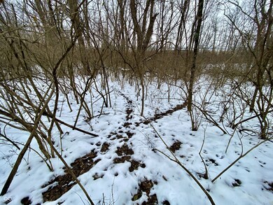 0 N Summerhill Dr unit MBR22076047, Niles Township, IN 47320 - photo 6