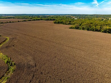 1151 E 1135 Rd, Lawrence, KS 66047 - photo 6