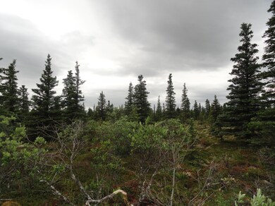 DSC05092