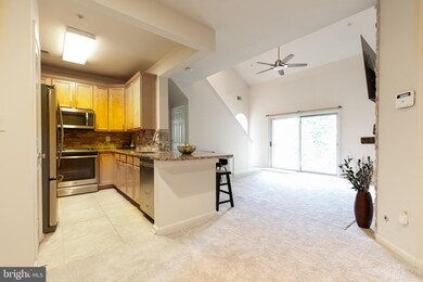 11315 Westbrook Mill Ln unit 302, Fairfax, VA 22030 - photo 5