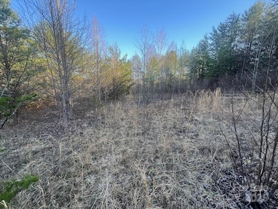 V/L Pinnacle Church Rd, Nebo, NC 28761 - photo 7