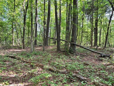 5211 Union Hill Rd, Alpharetta, GA 30004 - photo 2