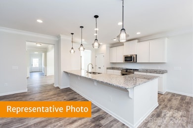 12155 Muscadine Ct, Midland, NC 28107 - photo 3