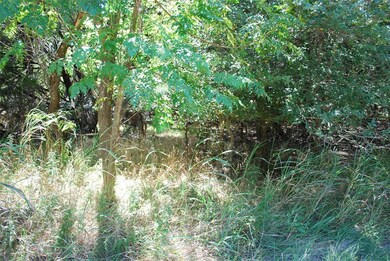 1514 Deerwood Ct, Whitney, TX 76692 - photo 2