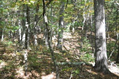 11 Carriage Way, Sudbury, MA 01776 - photo 6