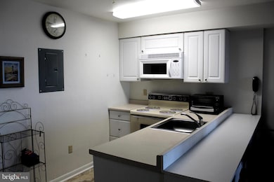 104 127th St unit 223, Ocean City, MD 21842 - photo 3