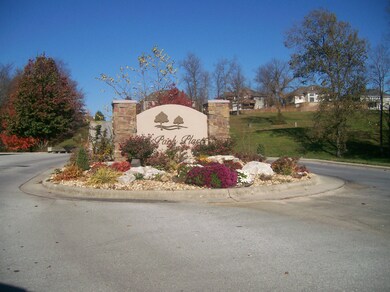 Lot 148 N Peach Brook, Nixa, MO 65714 - photo 5