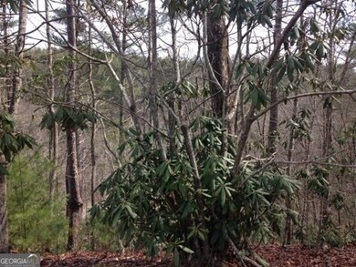 3 Wolf attachment1706368004762 (003)