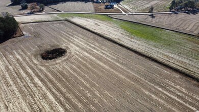 TBD Shelley Ln, Nichols, SC 29581 - photo 5