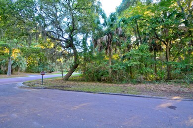 Lot on right along Persimmon