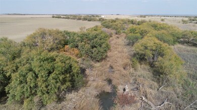 TBD Fm 2647, Ballinger, TX 76821 - photo 4