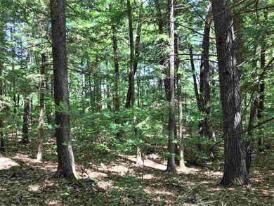 00 Ryan St unit 202/41, Wakefield, NH 03872 - photo 2