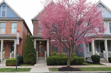 Springtime flowering trees