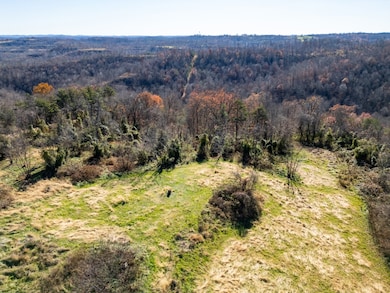 0 Eden Ridge Rd, Reedsville, OH 45772 - photo 4