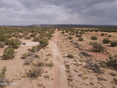 dji_fly_20241014_140324_505_172893982109