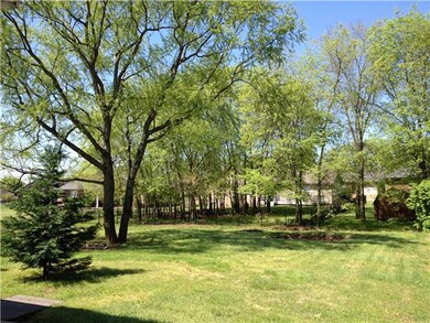 Check out this yard! 