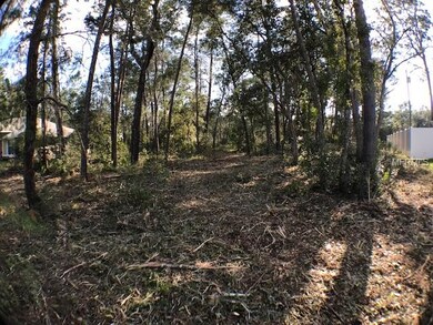 0 SW 169th Place unit G5006292, Ocala, FL 34473 - photo 5