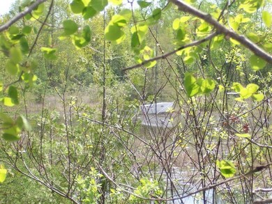 Pond 2