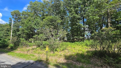 Lot 7 Justin Ln, Great Cacapon, WV 25422 - photo 7