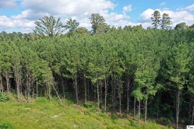 545 E Sibley Rd, Ruston, LA 71227 - photo 6