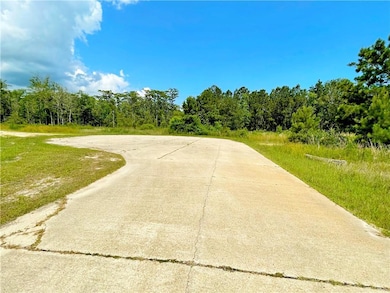 Looking east on Natalie Ct from the front of the lot.