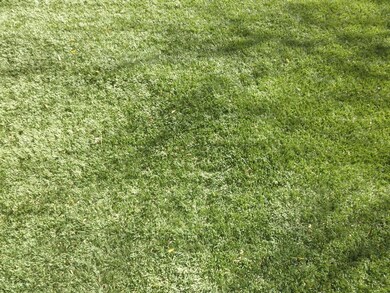 SYNTHETIC GRASS IN BACK AND FRONT