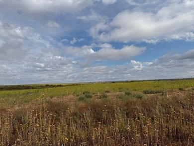 View of nature with rural landscape