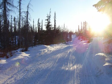 TRAIL LOOKING SOUTH