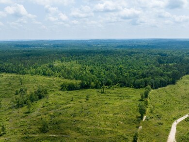 3486 Homer Alto Rd, Pollok, TX 75969 - photo 5