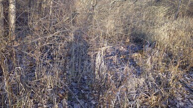 DSCF0075