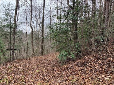 TBD Fall Creek Rd Fall Creek Rd, Purlear, NC 28665 - photo 3