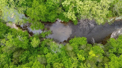 7449 Crow Cut Rd, Fairview, TN 37062 - photo 4