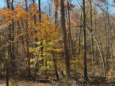 9-D Richmond Hwy, Amherst, VA 24521 - photo 7